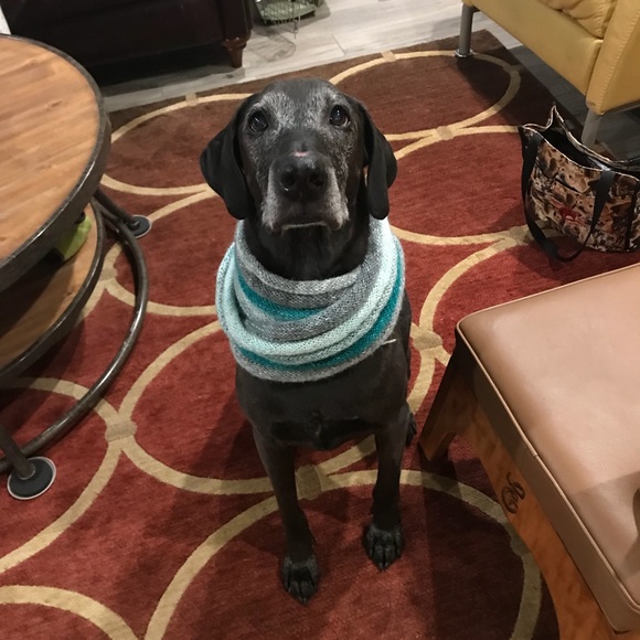 Meet your Posher, Courtney - Picture 7 of 7